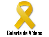 Galeria de Vdeos